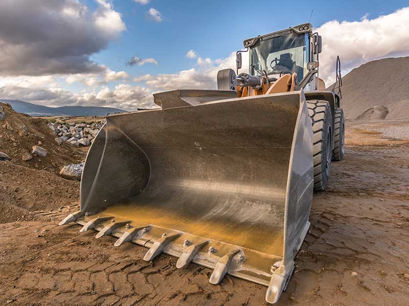 piaski-polskie-ziemia-przesiana-ogrodowa